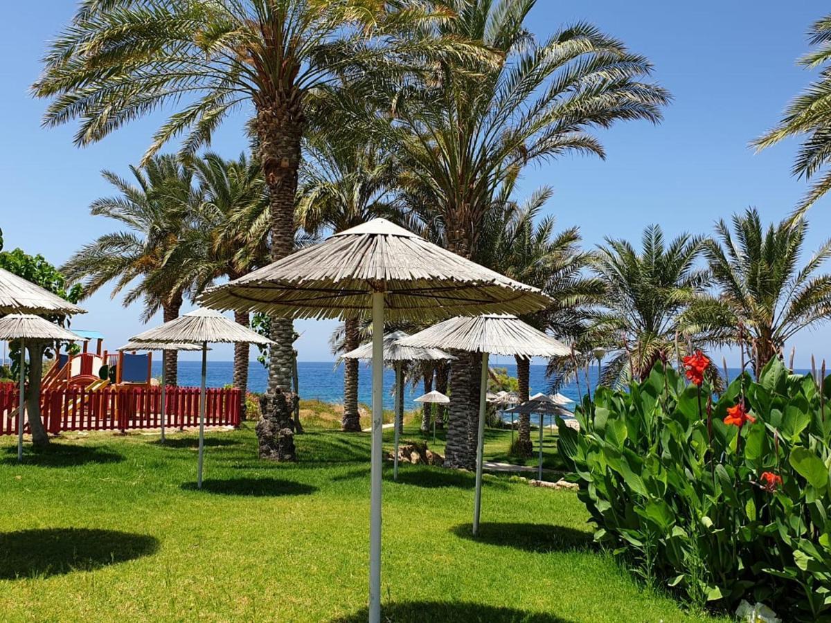 Seaview Sunset Holiday Apartments Paphos Eksteriør billede